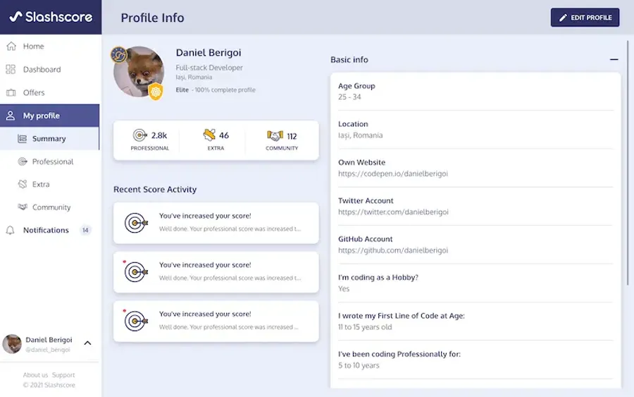Slashscore AI screenshot